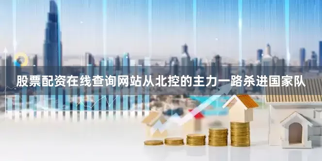 股票配资在线查询网站从北控的主力一路杀进国家队